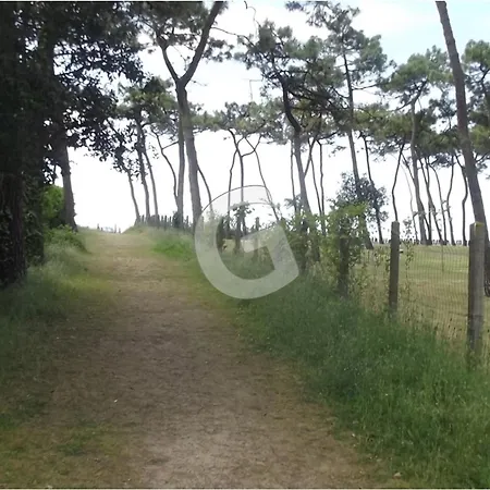 Дом отдыха Maison T3 Pres De La Pour 4 A - Fr-1-194-446